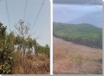 ��·��·����